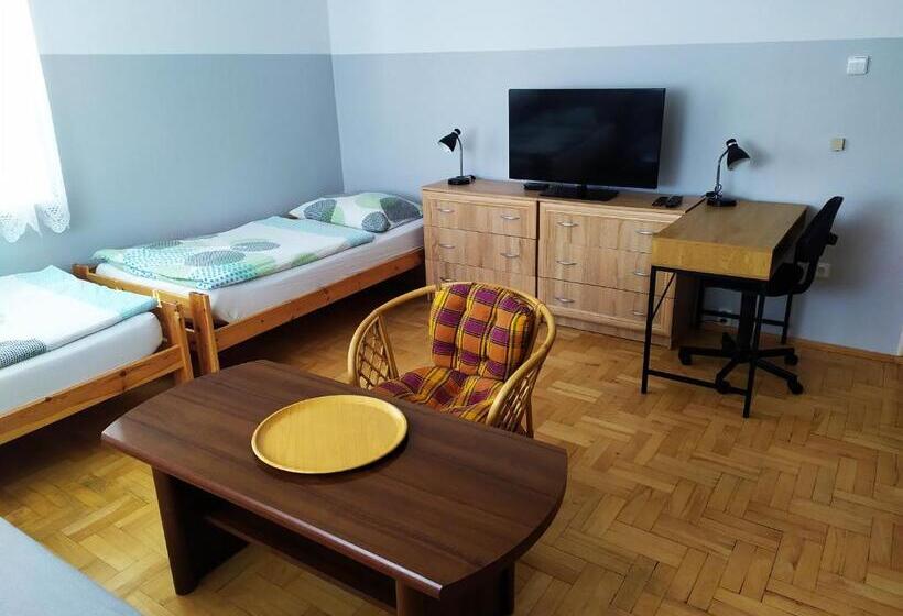 غرفة قياسية ثلاثية حمام مشترك, Ubytování Velký Týnec 376