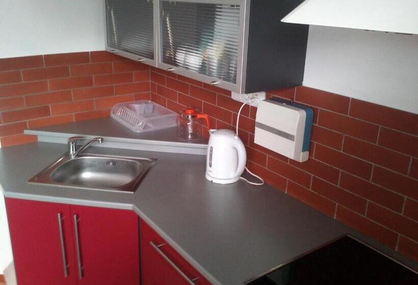 إستوديو قياسى, Ubytování Velký Týnec 376