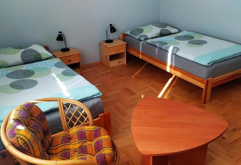 غرفة قياسية حمام مشترك, Ubytování Velký Týnec 376