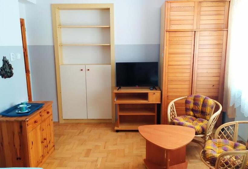 غرفة قياسية حمام مشترك, Ubytování Velký Týnec 376