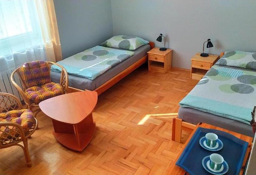 غرفة قياسية حمام مشترك, Ubytování Velký Týnec 376