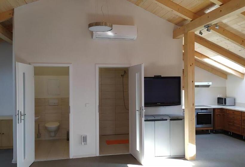 إستديو عائلى, Ubytování Velký Týnec 376