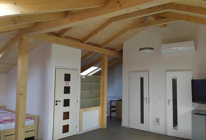 إستديو عائلى, Ubytování Velký Týnec 376