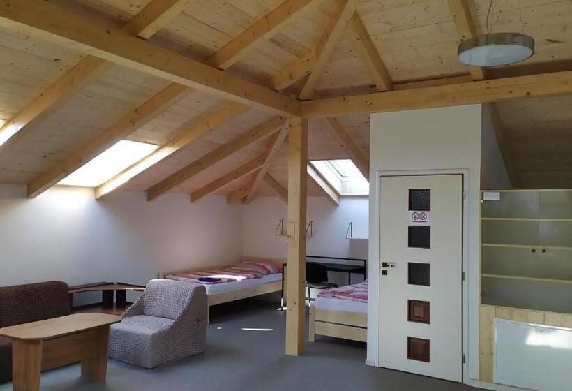 إستديو عائلى, Ubytování Velký Týnec 376