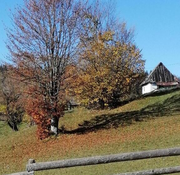 침실 1개 주택, Pensiunea Rustic Ghetar