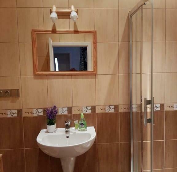 غرفة قياسية حمام مشترك, Pension Sunset Mezirolí