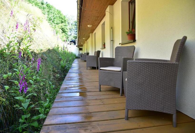 Standard-huone, Pension U Krbu