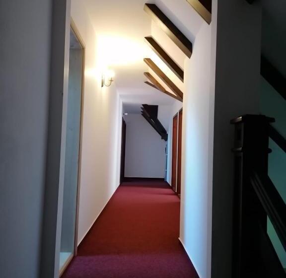 חדר פנטהאוז, Pensiunea Valea Pinului