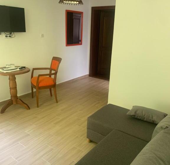 חדר סטודיו סטנדרד, Pensiunea Valea Pinului