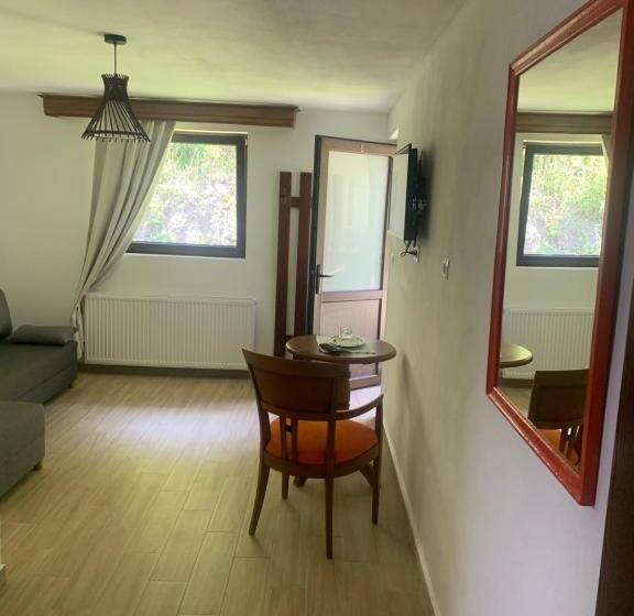 חדר סטודיו סטנדרד, Pensiunea Valea Pinului