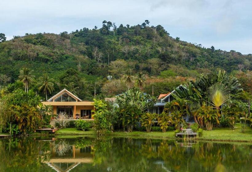 Номер Deluxe, Thelifeco Wellbeing Phuket Detox Center And Vegan Hotel   Sha Plus