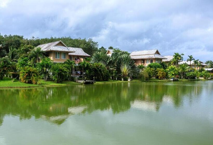 Номер Deluxe Одноместный, Thelifeco Wellbeing Phuket Detox Center And Vegan Hotel   Sha Plus