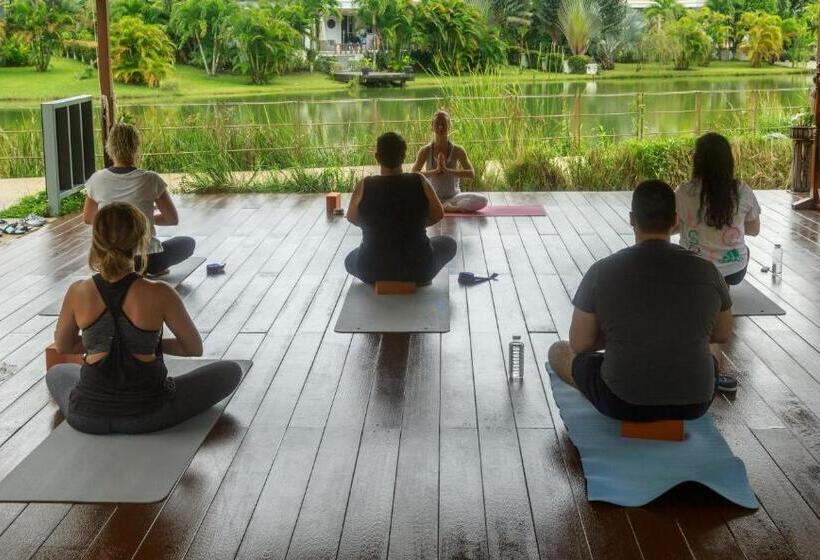 豪华单人间, Thelifeco Wellbeing Phuket Detox Center And Vegan Hotel   Sha Plus