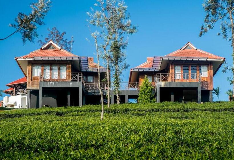 Хижина, Wild Planet Jungle Resort