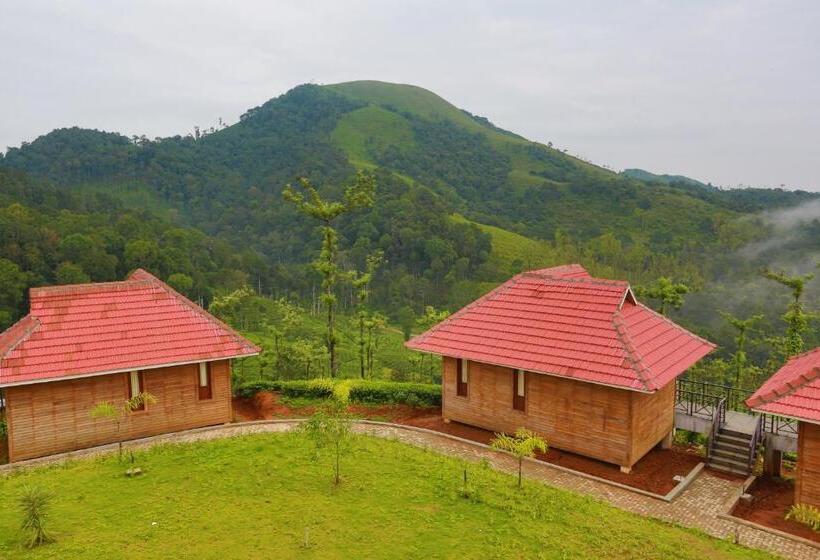 小室, Wild Planet Jungle Resort