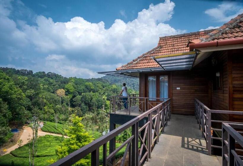 小室, Wild Planet Jungle Resort