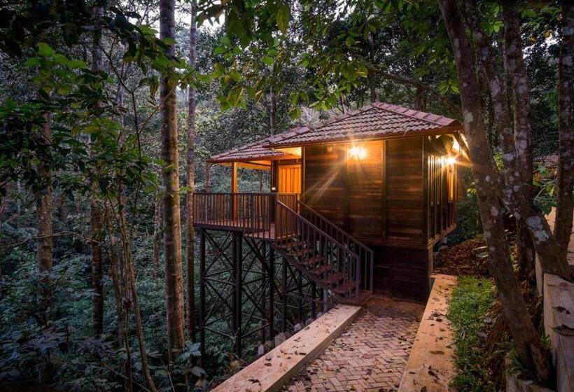 标准间, Wild Planet Jungle Resort