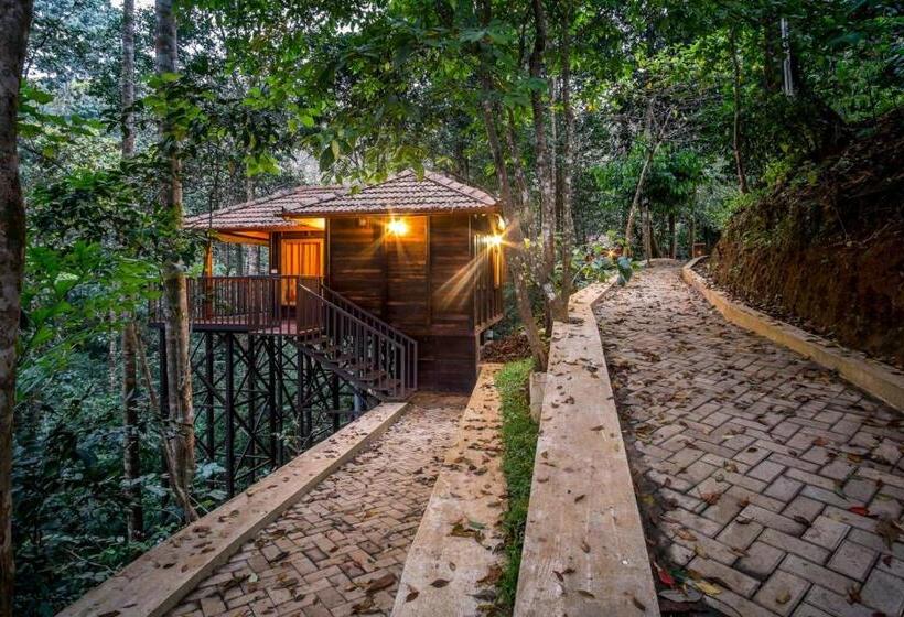 标准间, Wild Planet Jungle Resort