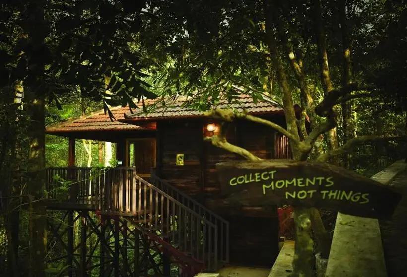 スタンダードルーム, Wild Planet Jungle Resort