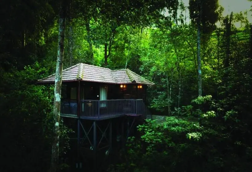 スタンダードルーム, Wild Planet Jungle Resort