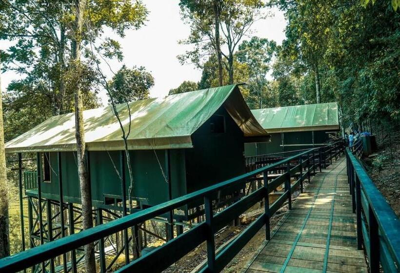 豪华房间, Wild Planet Jungle Resort