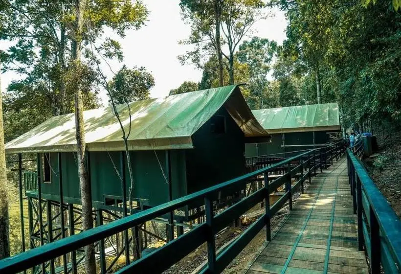 デラックスルーム, Wild Planet Jungle Resort