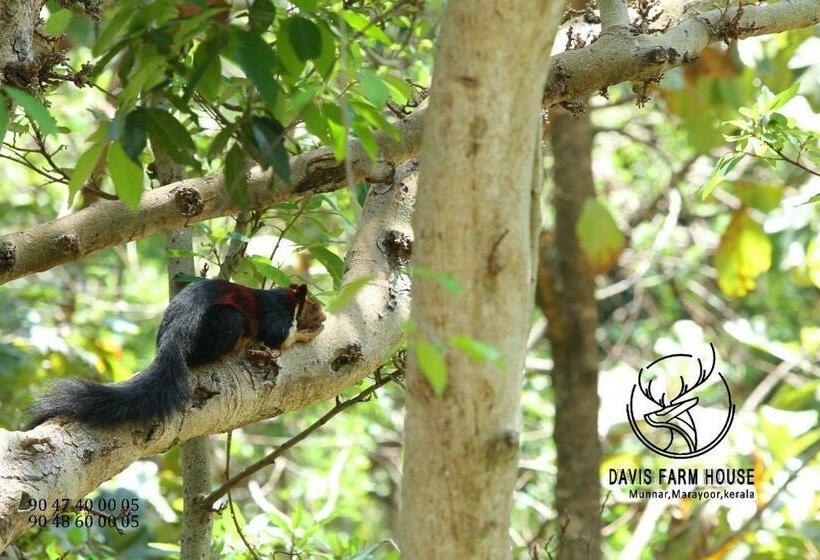 标准平房, Davis Farm House