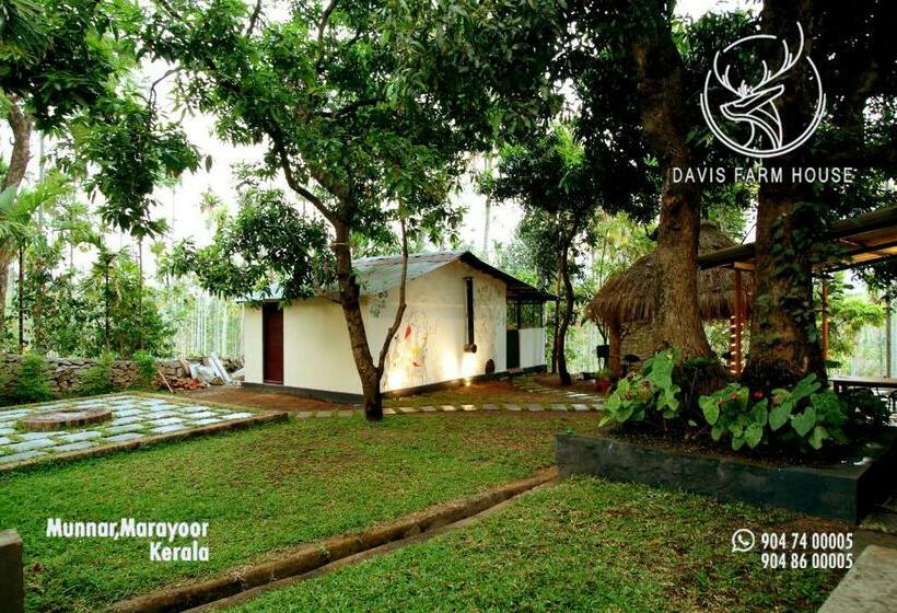 标准平房, Davis Farm House