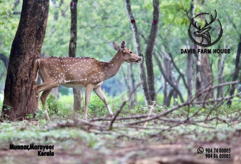 标准平房, Davis Farm House