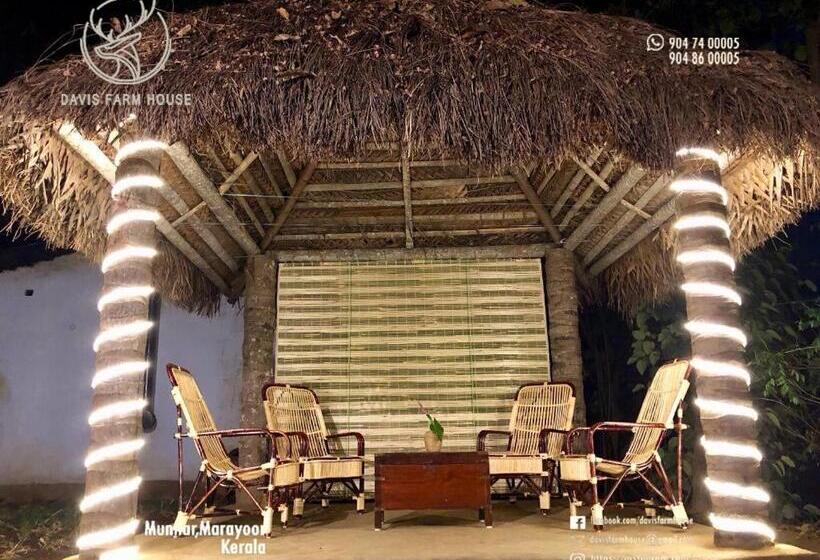 标准平房, Davis Farm House