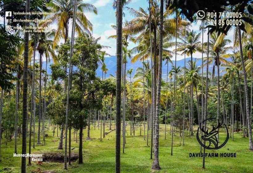 标准平房, Davis Farm House