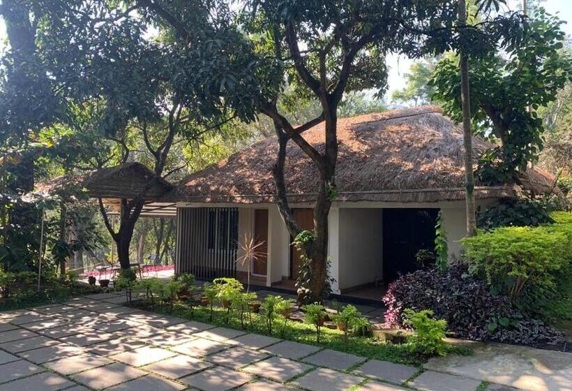 스탠다드 방갈로, Davis Farm House