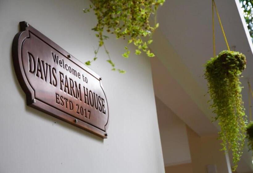 标准平房, Davis Farm House