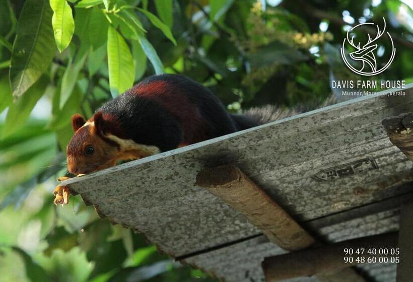 带1个卧室的别墅, Davis Farm House