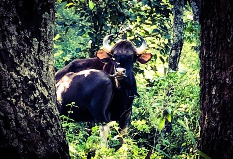 标准平房, Davis Farm House