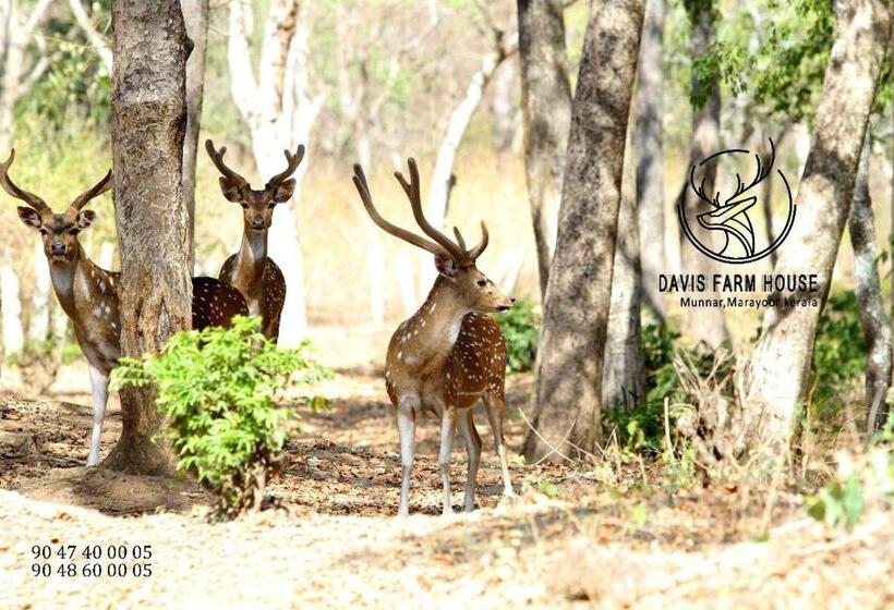 标准平房, Davis Farm House