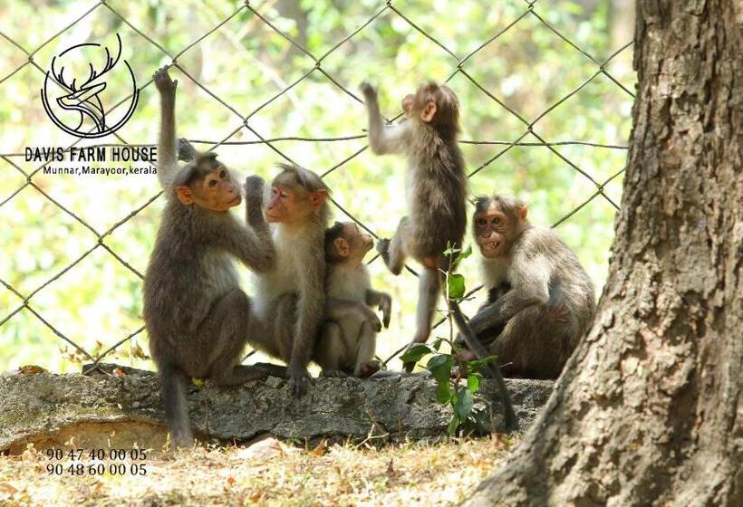 标准平房, Davis Farm House