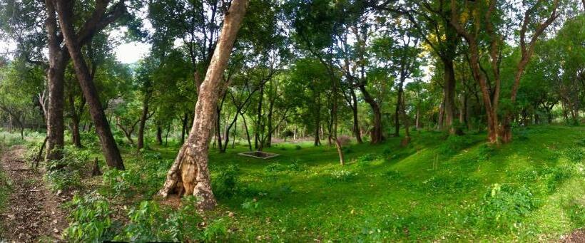 标准平房, Davis Farm House