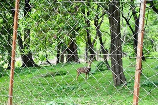 标准平房, Davis Farm House