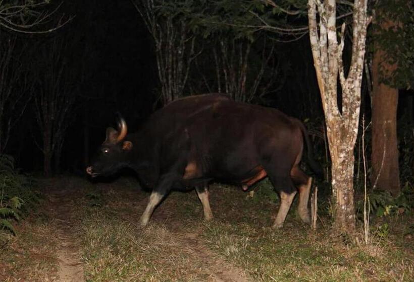 标准平房, Davis Farm House