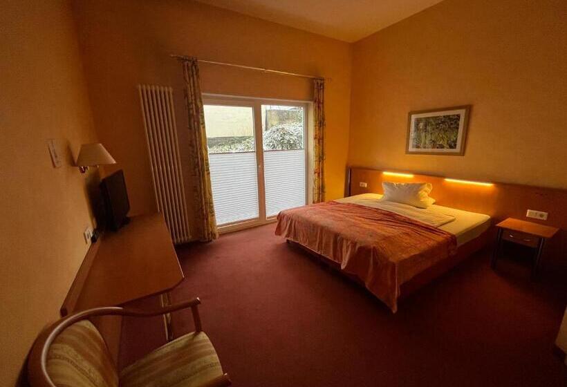 Одноместный Номер с Террасой, Landhotel Ritter Post