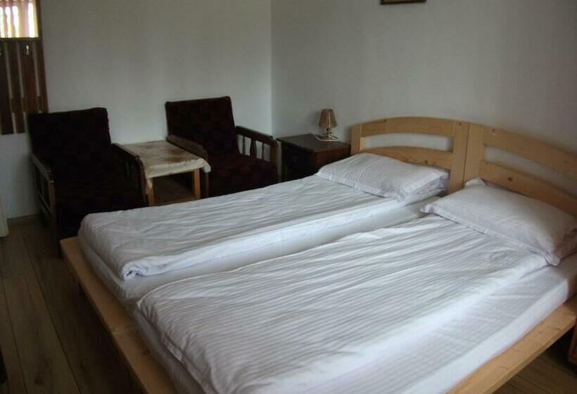 Номер Стандарт, Vila Sport Borsec