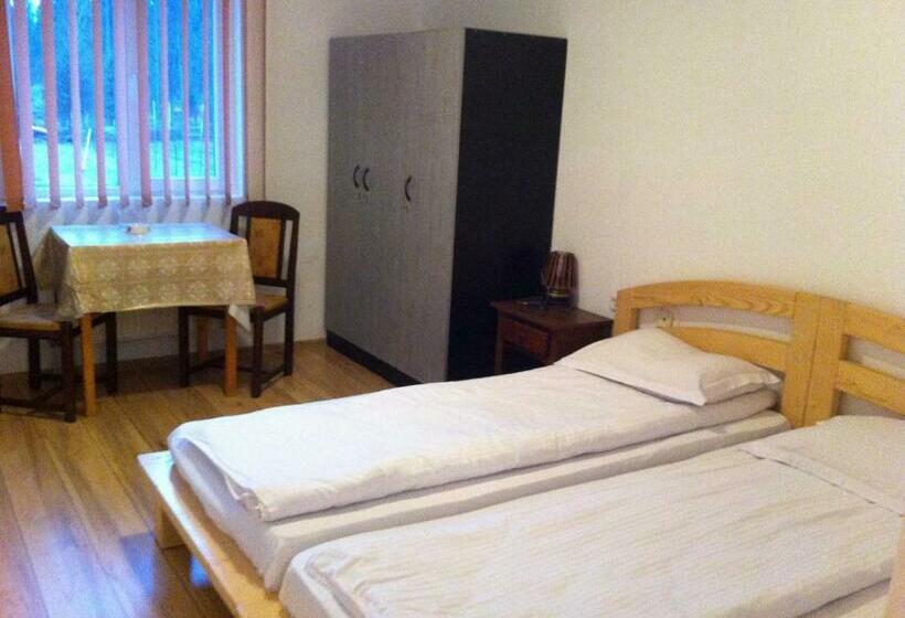 Люкс, Vila Sport Borsec