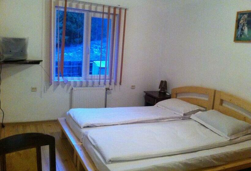 Люкс, Vila Sport Borsec