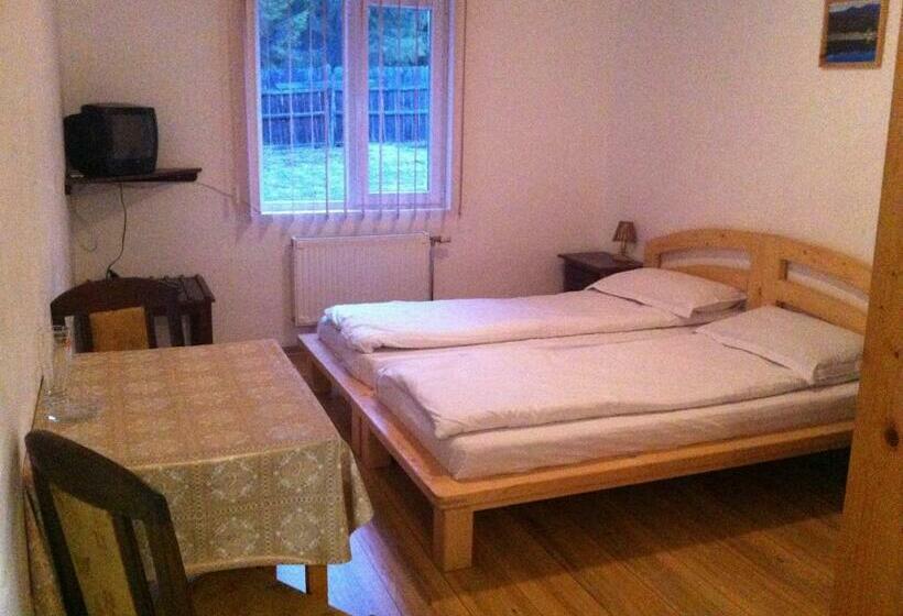 Люкс, Vila Sport Borsec