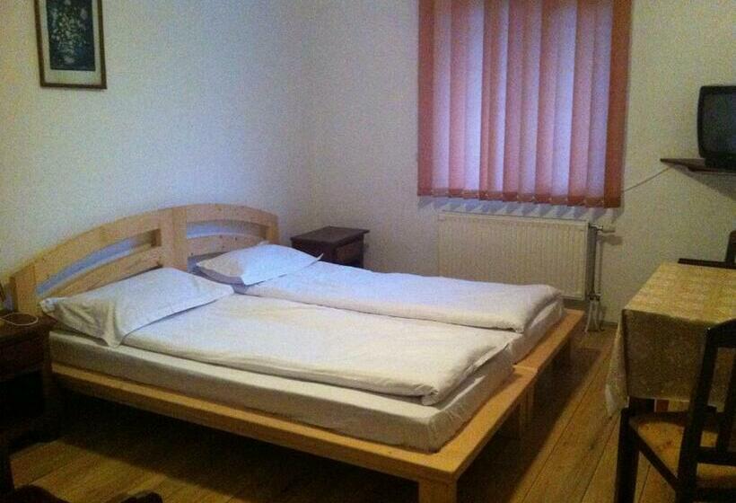 Люкс, Vila Sport Borsec