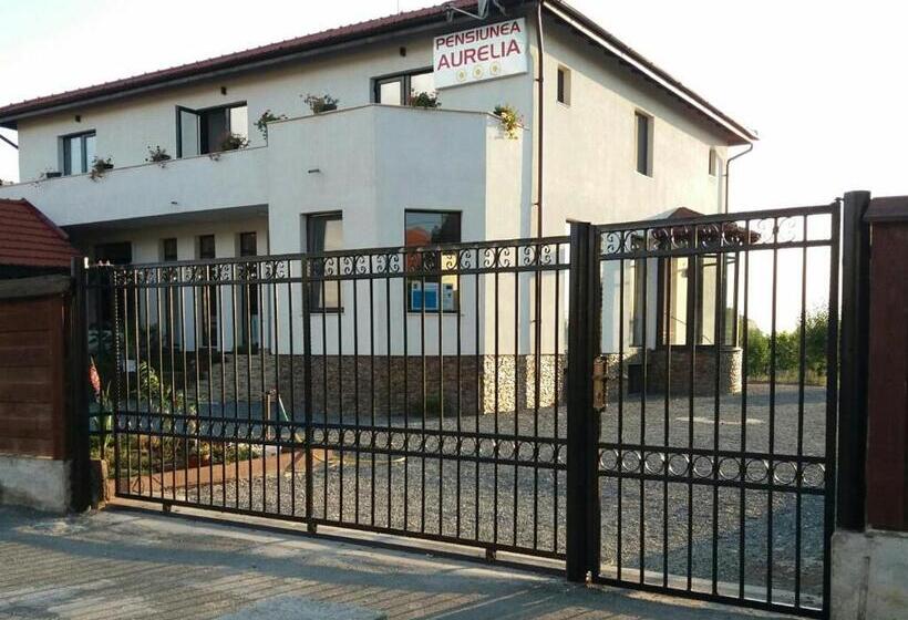 Номер Стандарт с Балконом, Pensiunea Aurelia