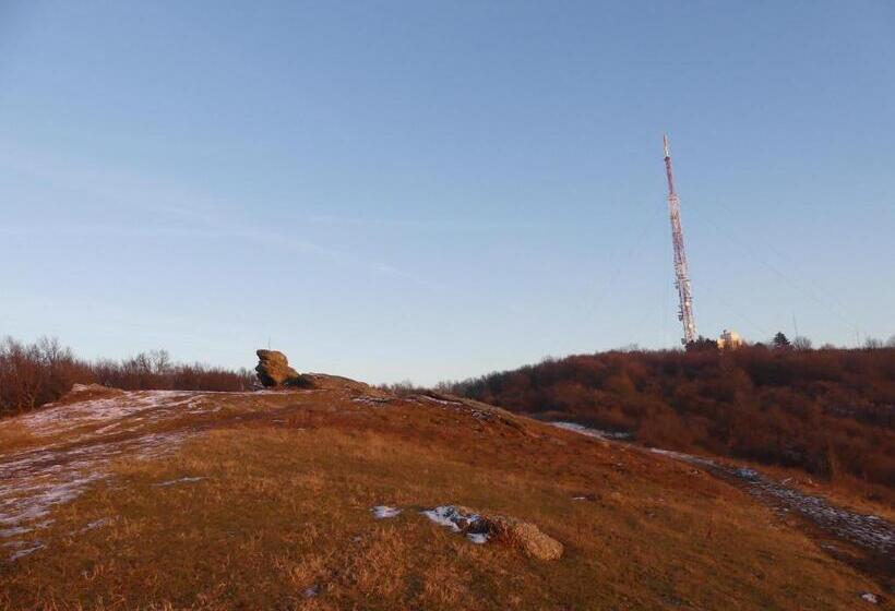 Номер Стандарт с Балконом, Pensiunea Aurelia