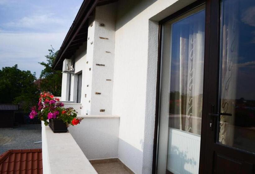 Номер Стандарт Трехместный, Pensiunea Aurelia