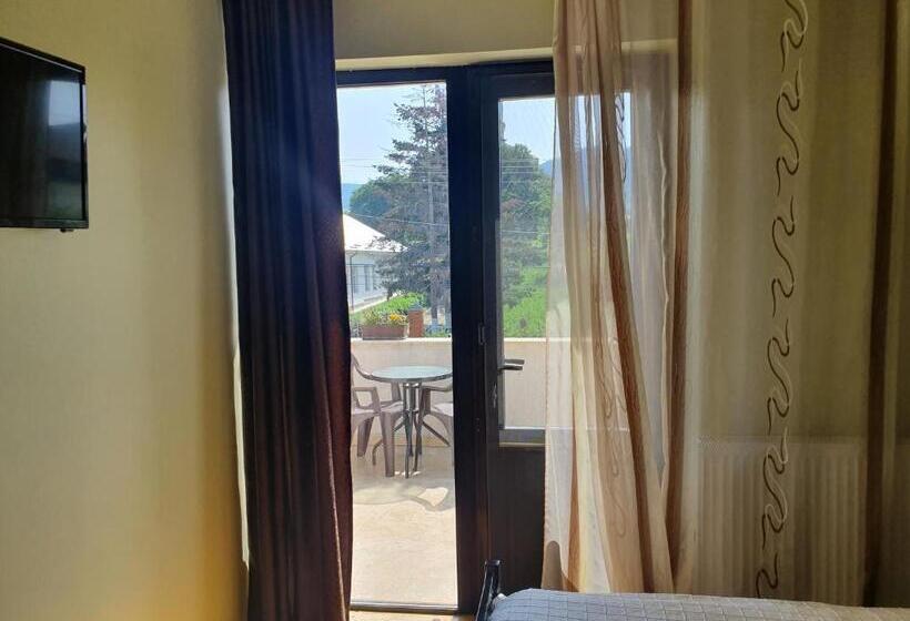 Номер Стандарт Трехместный, Pensiunea Aurelia